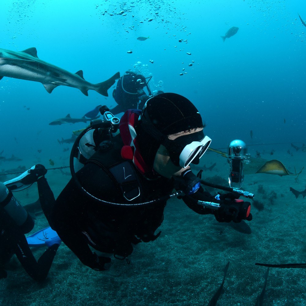 Dive Case Housing 60M Depth Waterproof Cameras Case Protective Diving Cover for Osmo Pocket Camera - Transparent