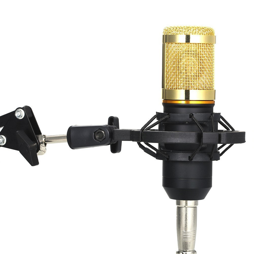 BM800 Suspension Microphone Kit Studio Live Stream Broadcasting Recording Condenser Microphone Set - Style 2/Silver