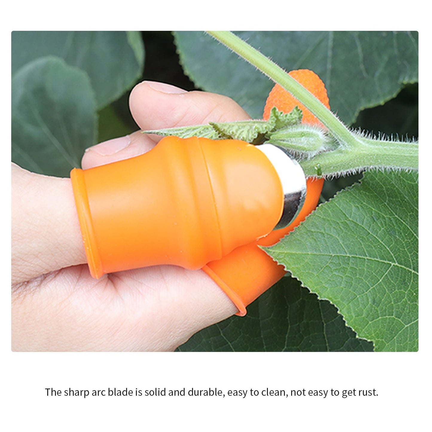 Silicone Thumb Knife Separate Rubber Finger Cot Thumb Cutter for Picking Vegetables Strawberries Grapes