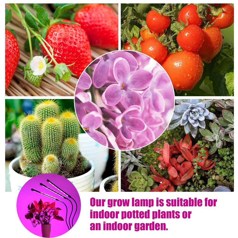 3-Head Grow Light 60 LED Light Bulb Plant Growing Lamps with Adjustable Arm Auto ON/Off Intelligent Timing 10 Levels Brightness for Indoor Plants