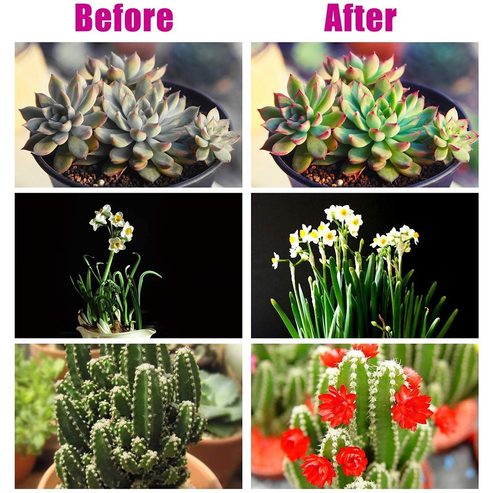 3-Head Grow Light 60 LED Light Bulb Plant Growing Lamps with Adjustable Arm Auto ON/Off Intelligent Timing 10 Levels Brightness for Indoor Plants