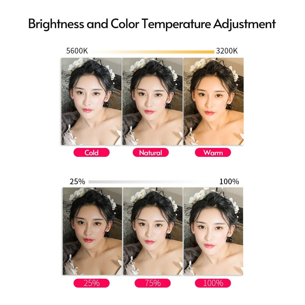 Ring Light 10 Inch LED Fill Light USB Powered 3 Color Temperatures with Phone Clamp for Makeup Selfie Live Streaming Photography Vlog