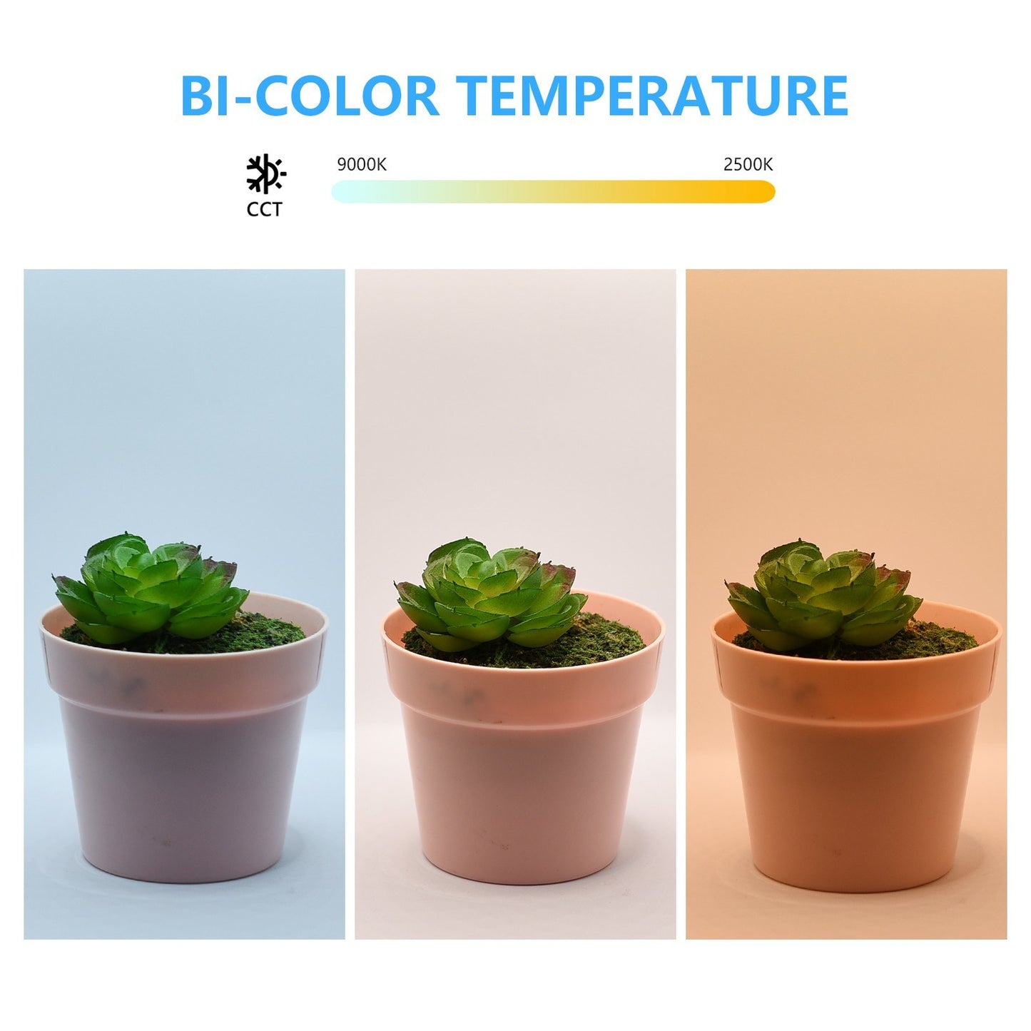 Professional Mini Product Photography Light Box Foldable LED Light Box with Colorful Backdrops