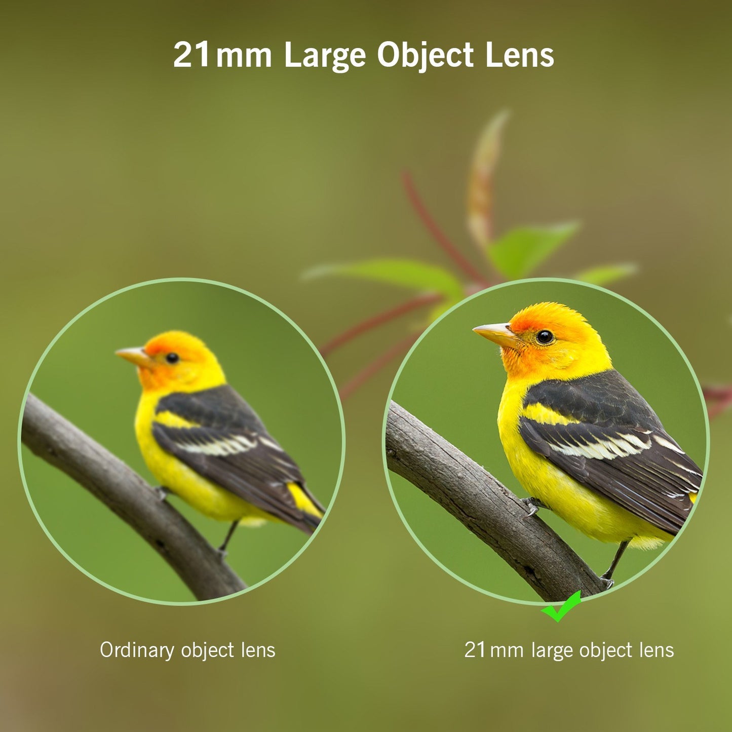 Portable Mini Binoculars Folding Pocket Binoculars Lightweight Telescope for Adults Kids Bird Opera Watching Sightseeing Hiking Travel Concert Theater