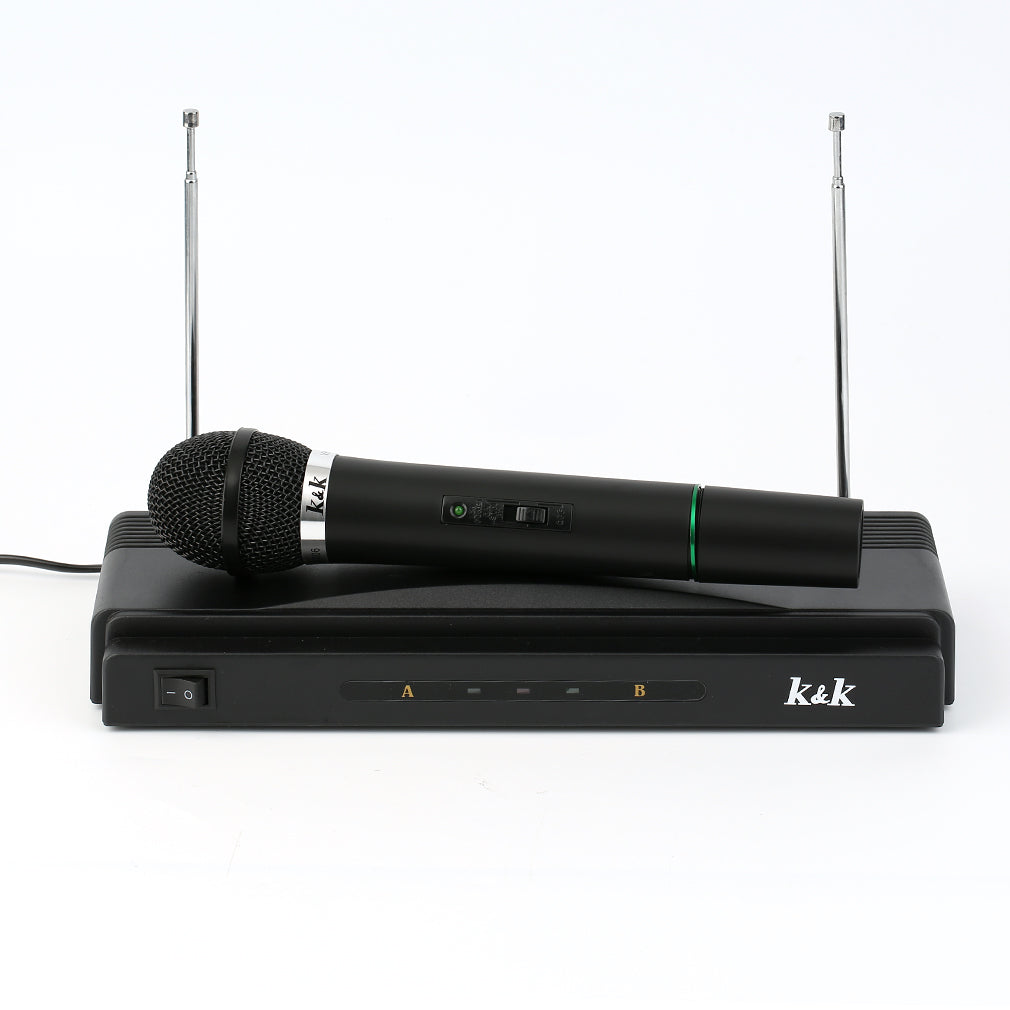 Professional Wireless Microphone System Dual Handheld 2 x Mic Receiver (EU Plug)