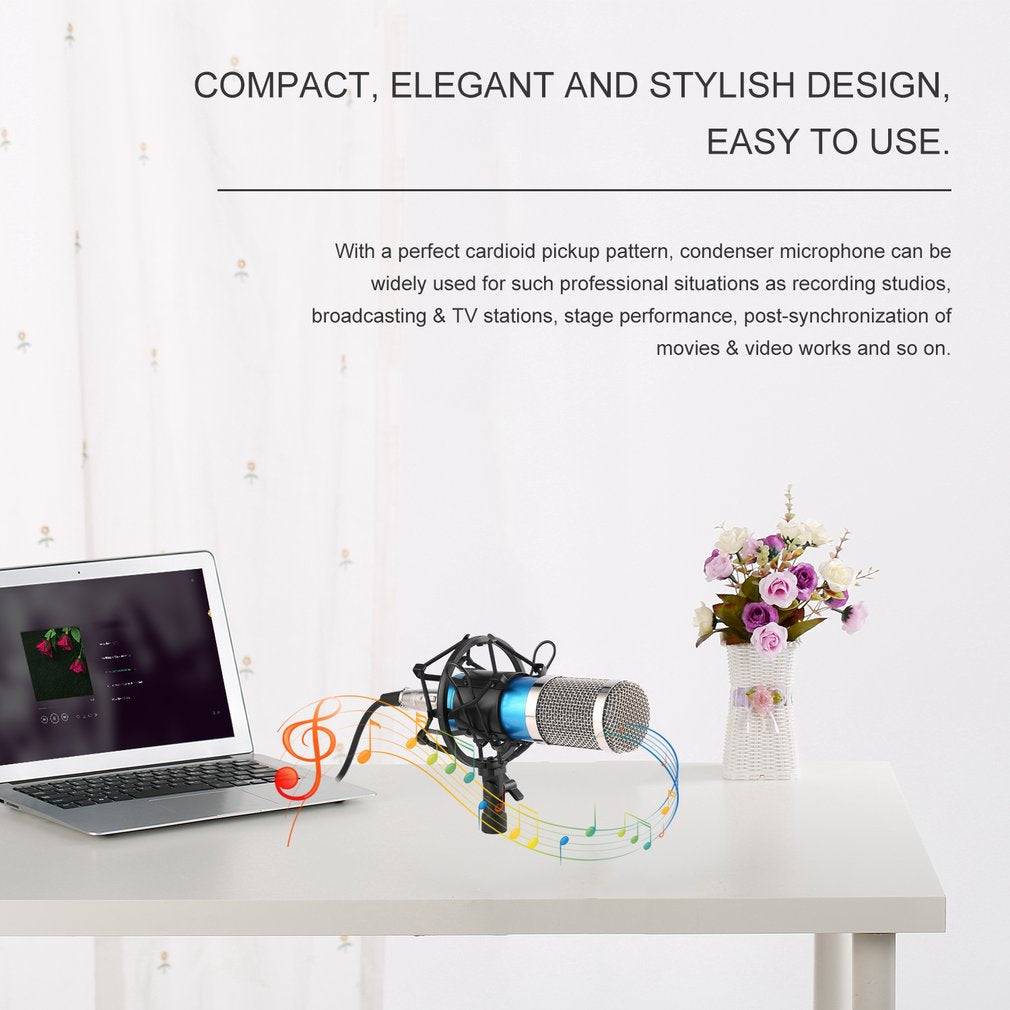 BM-800 Professional Studio Recording Broadcasting Condenser Microphone with Shockproof Mount - Blue / Silver