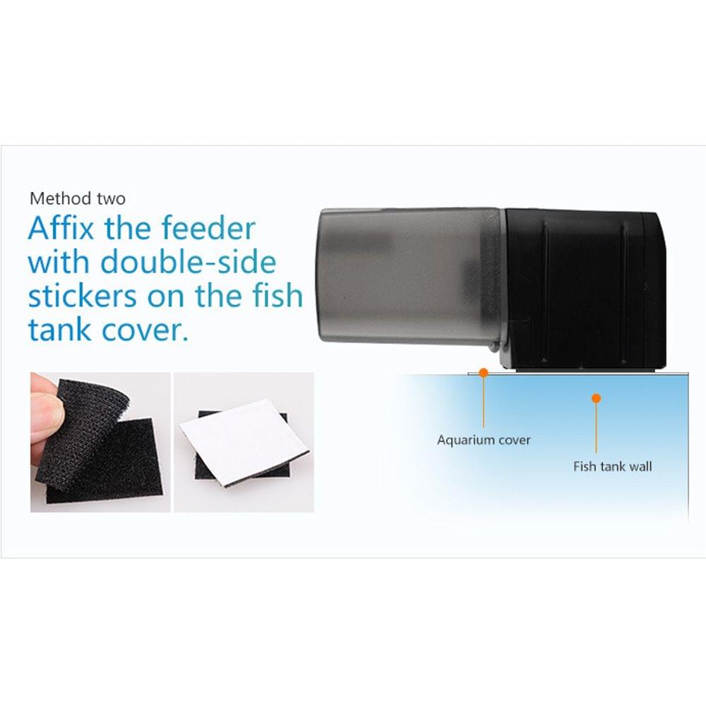 Time Setting Automatic Fish Feeder for Healthy Ornamental