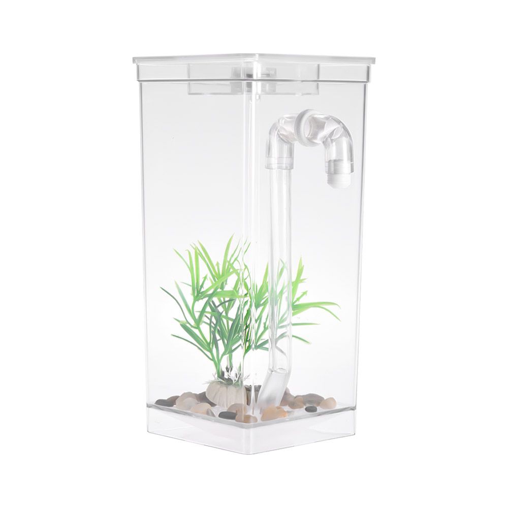 Self Cleaning Small Fish Tank Bowl Convenient Acrylic Desk