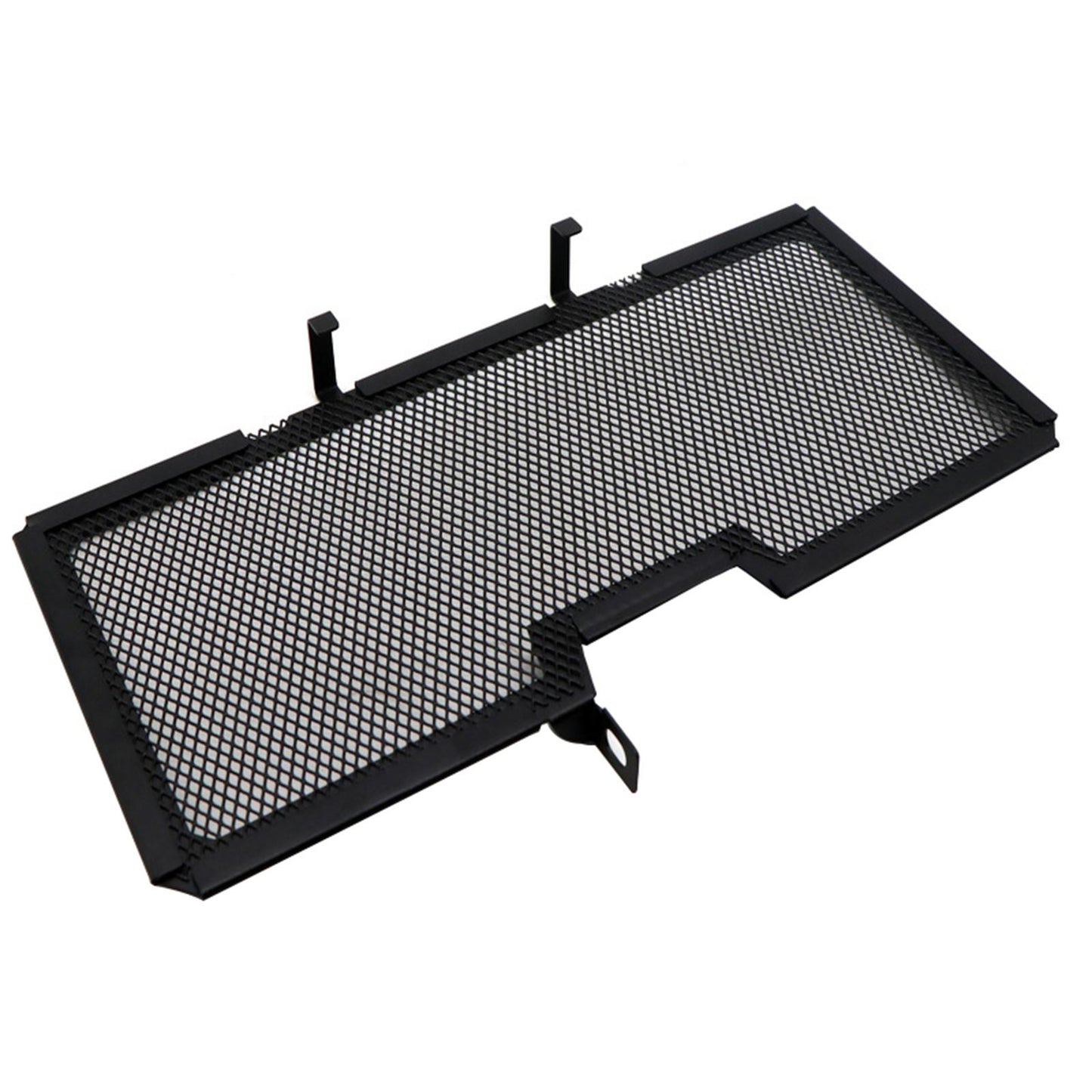 Motorcycle Radiator Grille Guard Protector for BMW R1200R R1250R 2015-2021