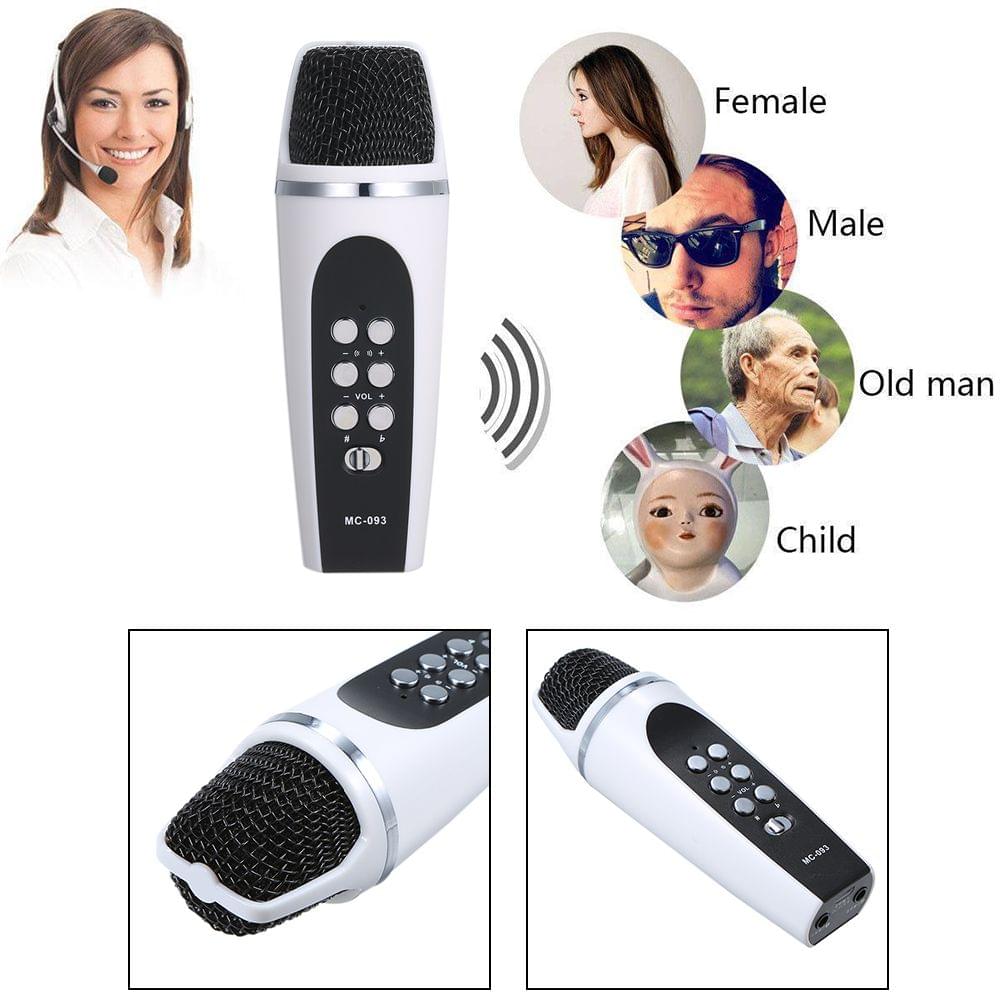 Portable 4 Modes Smartphone Cellphone Voice Changer