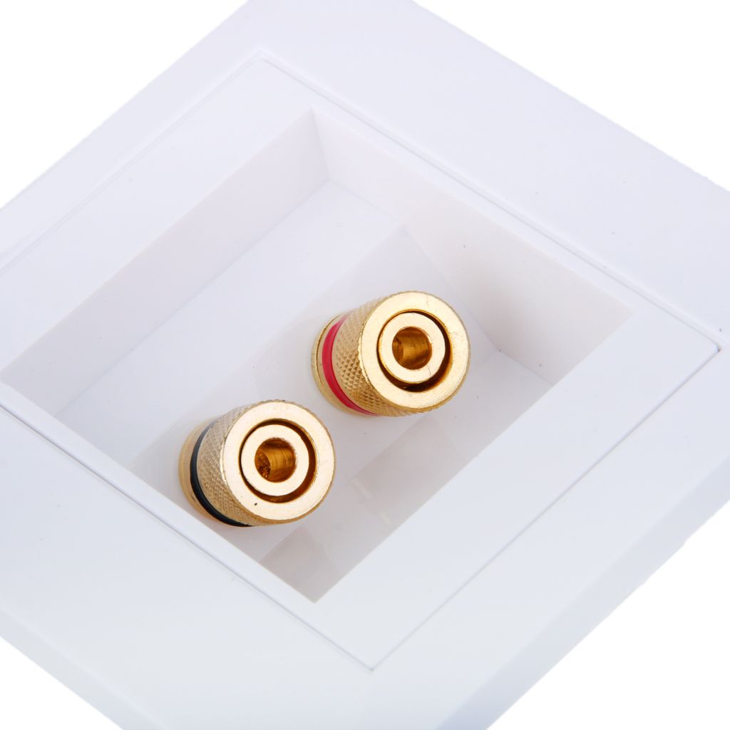Port Speaker Binding Post Wall Face Plate For Banana/Spade Plugs / Cable