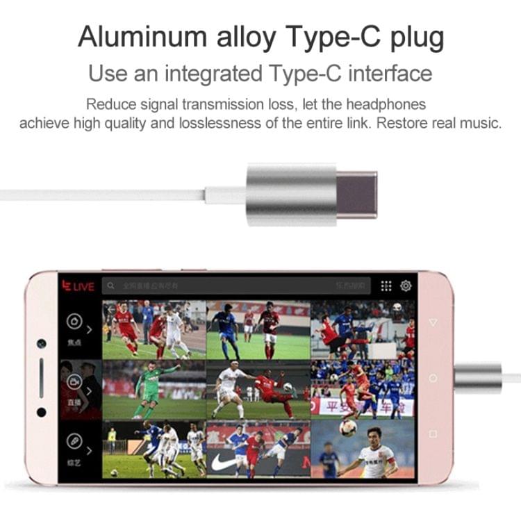 YX-022 1.2m Wired In Ear USB-C / Type-C Interface Metal Stereo Earphones with Mic (Grey)