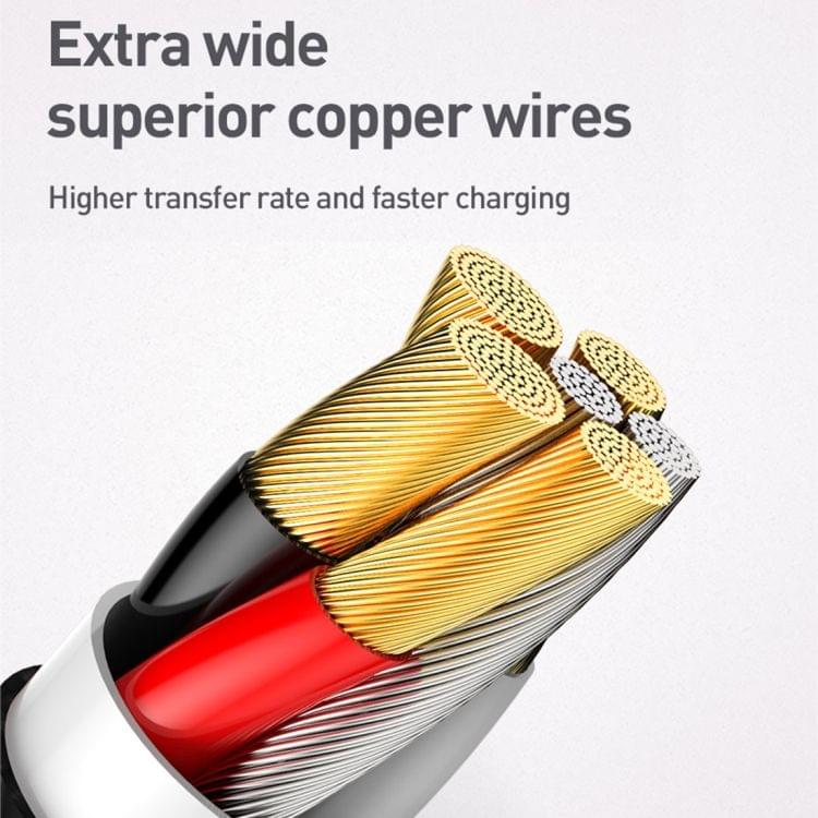 Baseus 40W Type-C / USB-C HW Double-sided Blind Insertion Quick Charging Cable, Length : 1m (Gold)