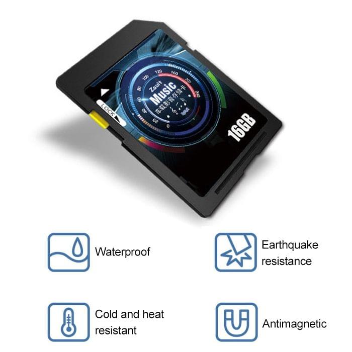 Zsuit 32GB High Speed Class10 Car Audio and Video SD Memory Card