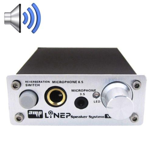 A907 Professional Two-channel Microphone Amplifier Dual Microphone Reverb