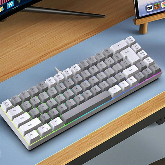 Y-FRUITFUL K701 68 Keys Wired Keyboard with RGB Light Mechanical Gaming Keyboard - White+Grey