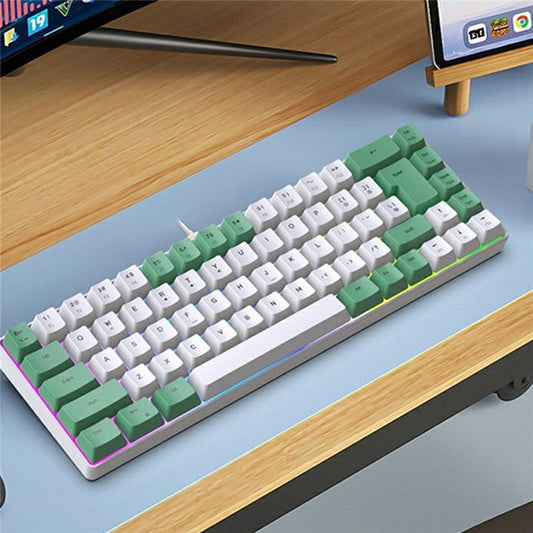 Y-FRUITFUL K701 68 Keys Wired Keyboard with RGB Light Mechanical Gaming Keyboard - Green+White
