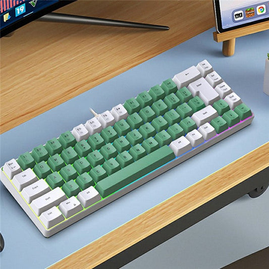 Y-FRUITFUL K701 68 Keys Wired Keyboard with RGB Light Mechanical Gaming Keyboard - White+Green