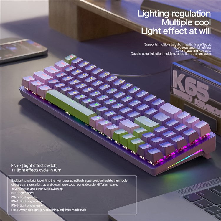 ZIYOULANG K65 78 Keys Hot Swappable Mechanical Keyboard RGB Light USB Wired Keyboard - Blue+Blue Switch