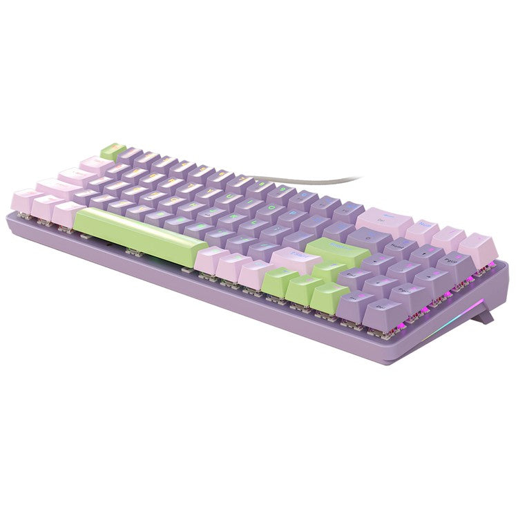 ZIYOULANG K65 78 Keys Hot Swappable Mechanical Keyboard RGB Light USB Wired Keyboard - Purple+Red Switch