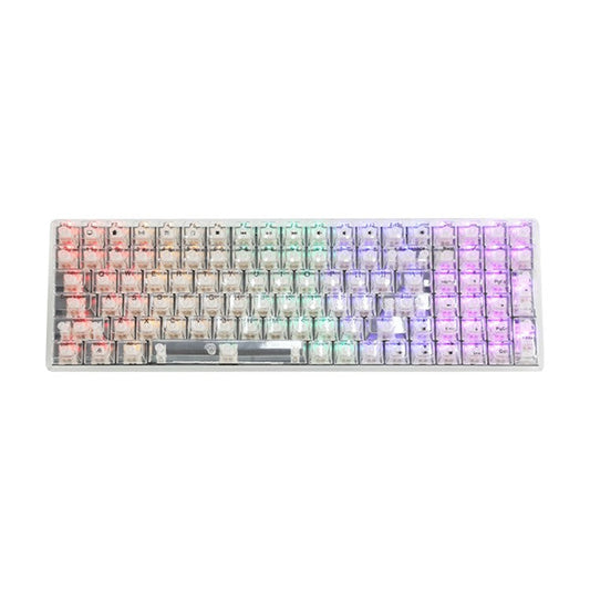Y-FRUITFUL K10 Mechanical 100-Key Type-C Wired Keyboard with Clear Keycap - Transparent White