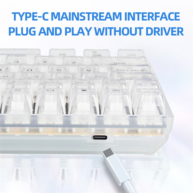 Y-FRUITFUL K10 Mechanical 100-Key Type-C Wired Keyboard with Clear Keycap - Transparent White