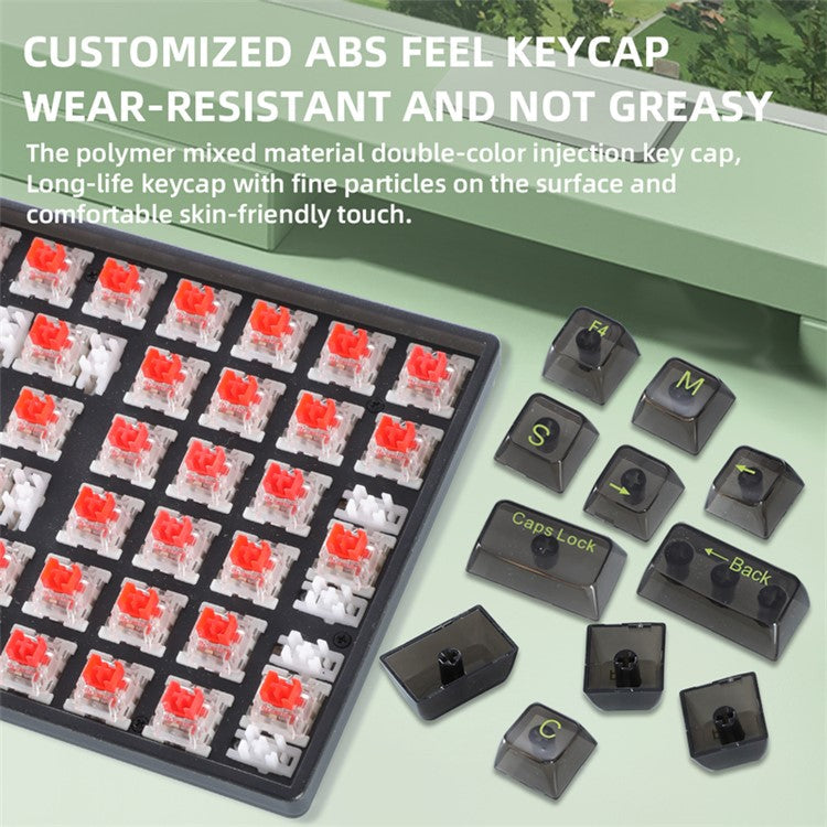 Y-FRUITFUL K10 Mechanical 100-Key Type-C Wired Keyboard with Clear Keycap - Transparent Black