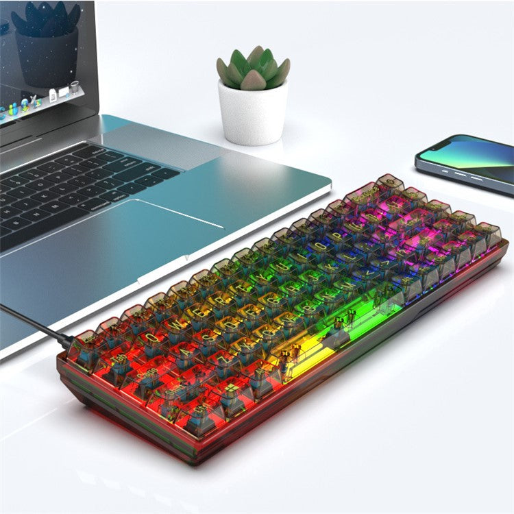 Y-FRUITFUL K60 68 Keys Type-C Wired Mechanical Keyboard RGB Light Transparent Keycaps Gaming Keyboard - Transparent Black+Blue Switch