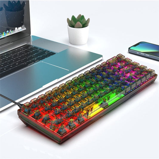 Y-FRUITFUL K60 68 Keys Type-C Wired Mechanical Keyboard RGB Light Transparent Keycaps Gaming Keyboard - Transparent Black+Blue Switch