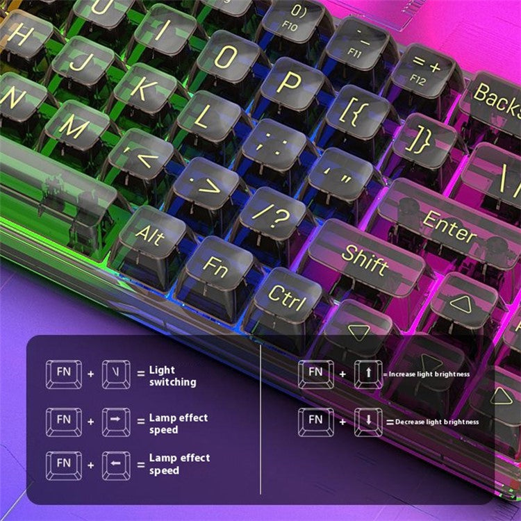 Y-FRUITFUL K60 68 Keys Type-C Wired Mechanical Keyboard RGB Light Transparent Keycaps Gaming Keyboard - Transparent Black+Blue Switch