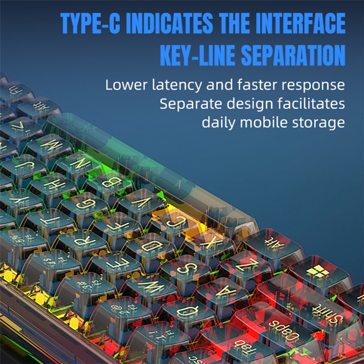 Y-FRUITFUL K60 68 Keys Type-C Wired Mechanical Keyboard RGB Light Transparent Keycaps Gaming Keyboard - Transparent Black+Blue Switch