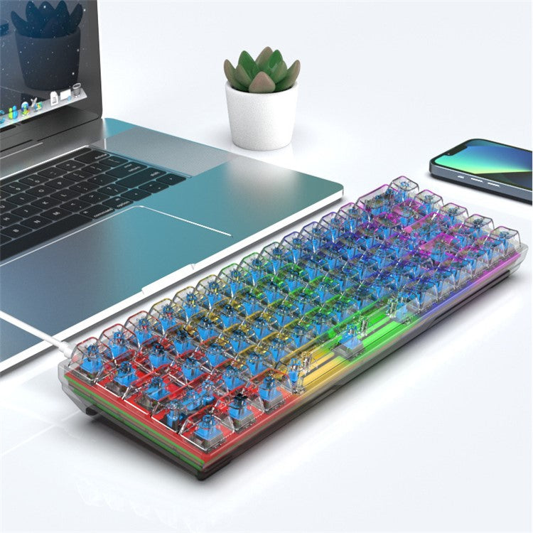 Y-FRUITFUL K60 68 Keys Type-C Wired Mechanical Keyboard RGB Light Transparent Keycaps Gaming Keyboard - Transparent White+Blue Switch