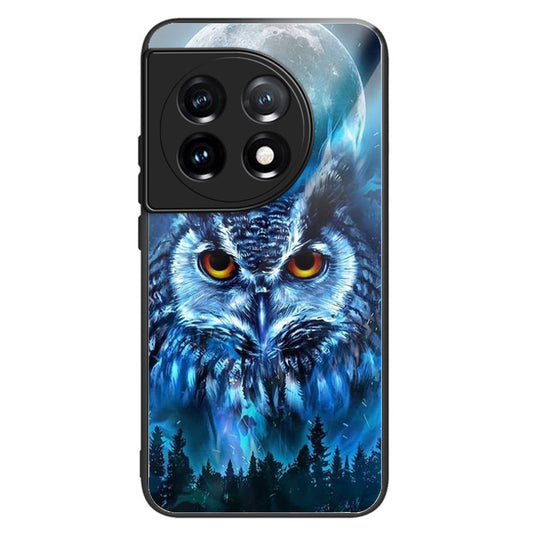 For OnePlus Ace 3 5G / 12R 5G TPU Case Pattern Printing Tempered Glass Back Phone Cover - Style K