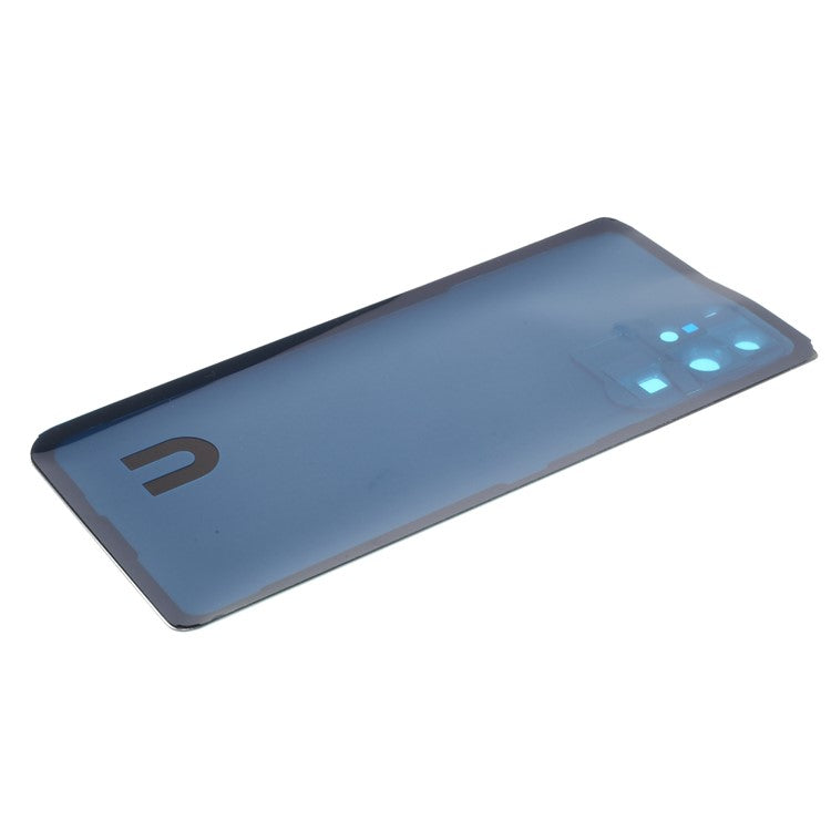 For Huawei P30 Pro Back Battery Housing Cover with Camera Ring Lens Cover Spare Part (without Logo) - Black
