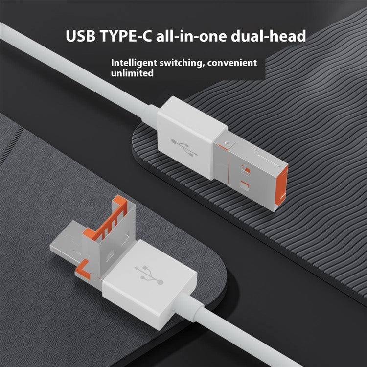 NK1033TL Pro USB + Type-C + iP to Dual USB 2.0 / USB-C / 3.5mm / Ethernet Adapter for Laptop Tablet Smartphone