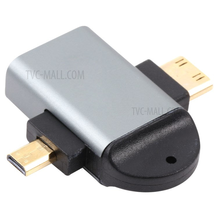 2-in-1 Mini HDMI Male + Micro HDMI Male to HDMI Female Gold Plated Connector Adapter