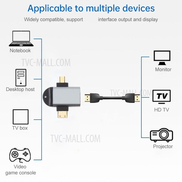 2-in-1 Mini HDMI Male + Micro HDMI Male to HDMI Female Gold Plated Connector Adapter