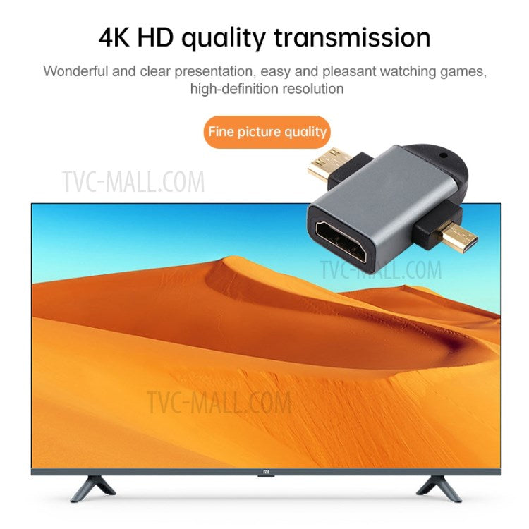 2-in-1 Mini HDMI Male + Micro HDMI Male to HDMI Female Gold Plated Connector Adapter