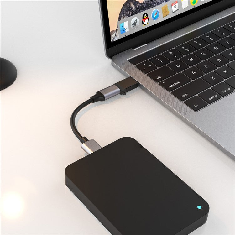 5311T 5Gbps Transmission USB to Type-C Converter Aluminum Alloy Mini Adapter - Black