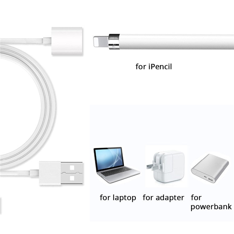 Lightning to USB Charging Cable for Apple Pencil Female to Male Extension Charging Connector Adapter Cord, 1m