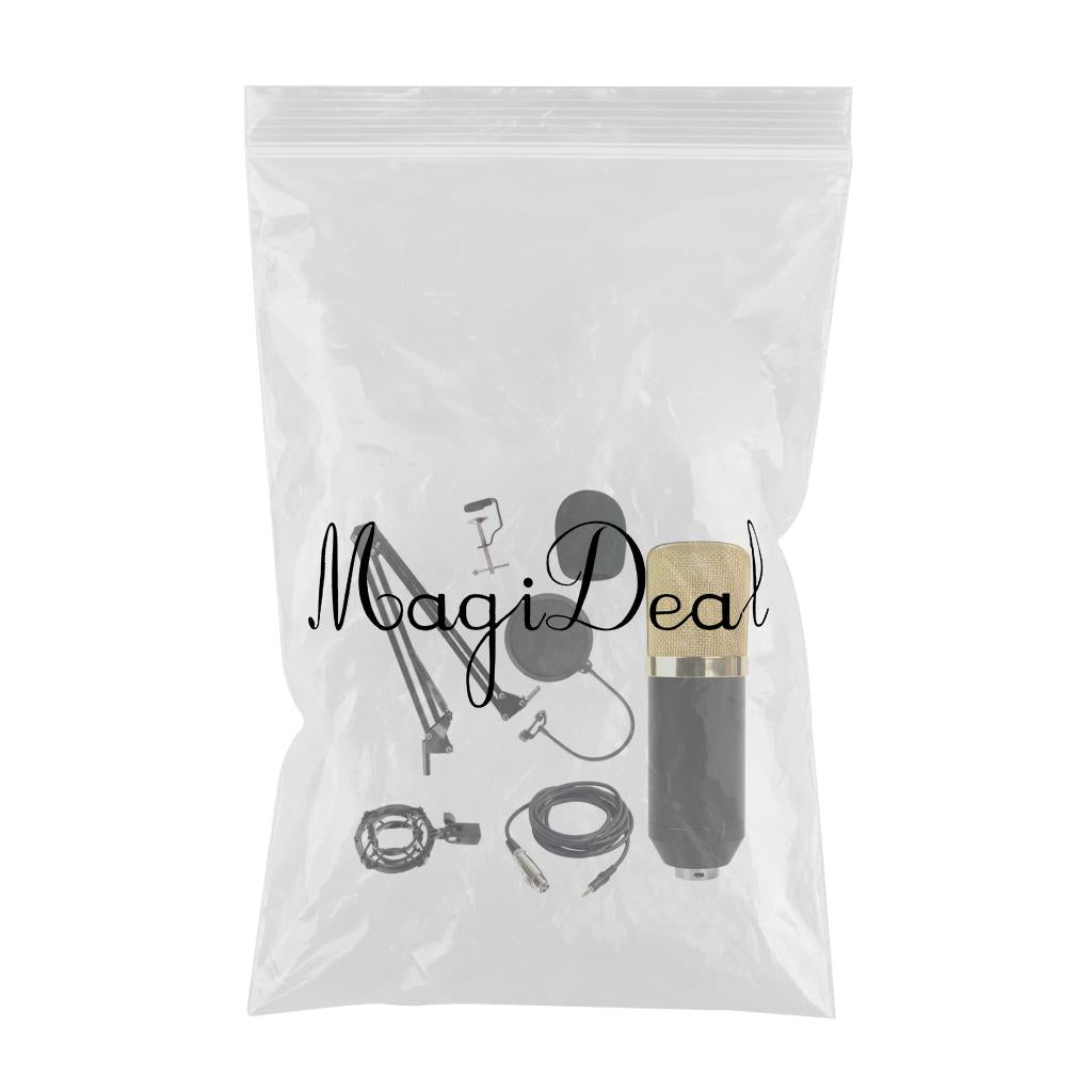 Condenser Microphone Kit for Studio Recording Golden A
