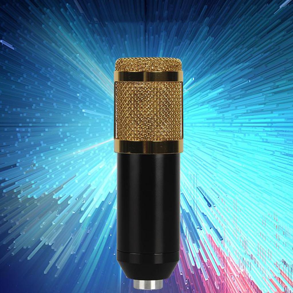 Condenser Microphone Kit for Studio Recording Silver A with Sound Card