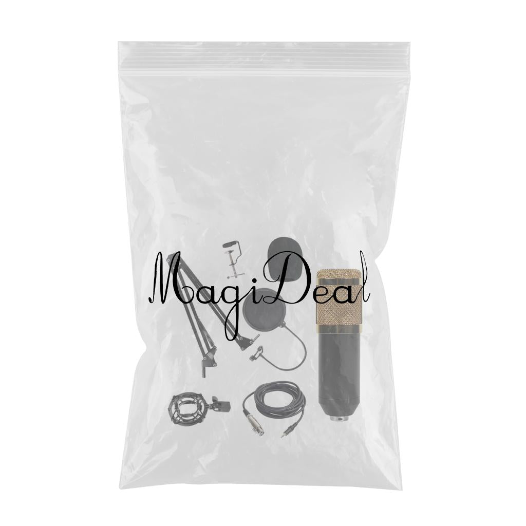 Condenser Microphone Kit for Studio Recording Golden B