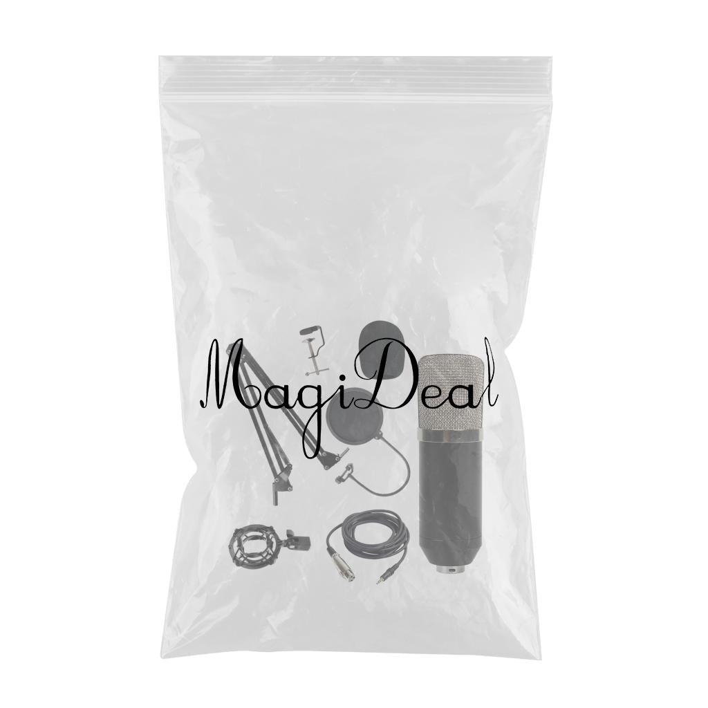 Condenser Microphone Kit for Studio Recording Silver A