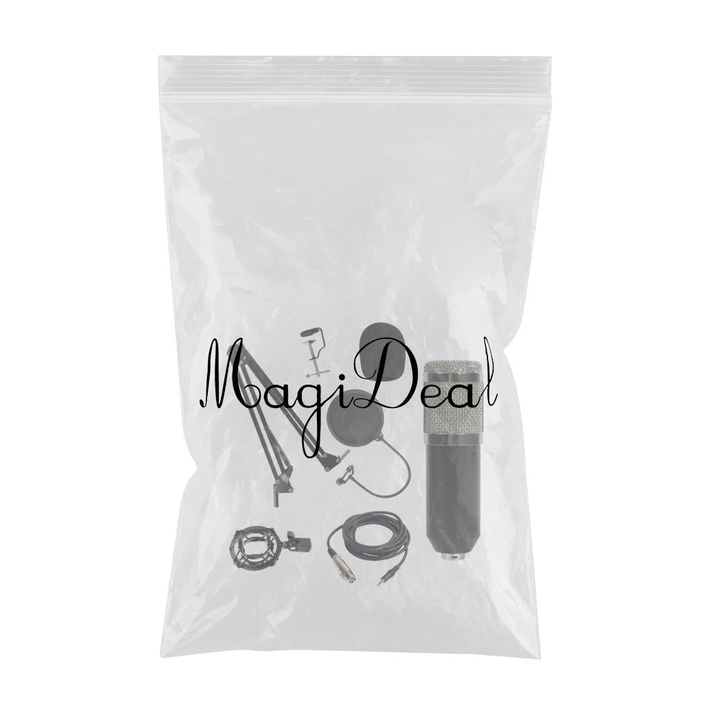 Condenser Microphone Kit for Studio Recording Silver B