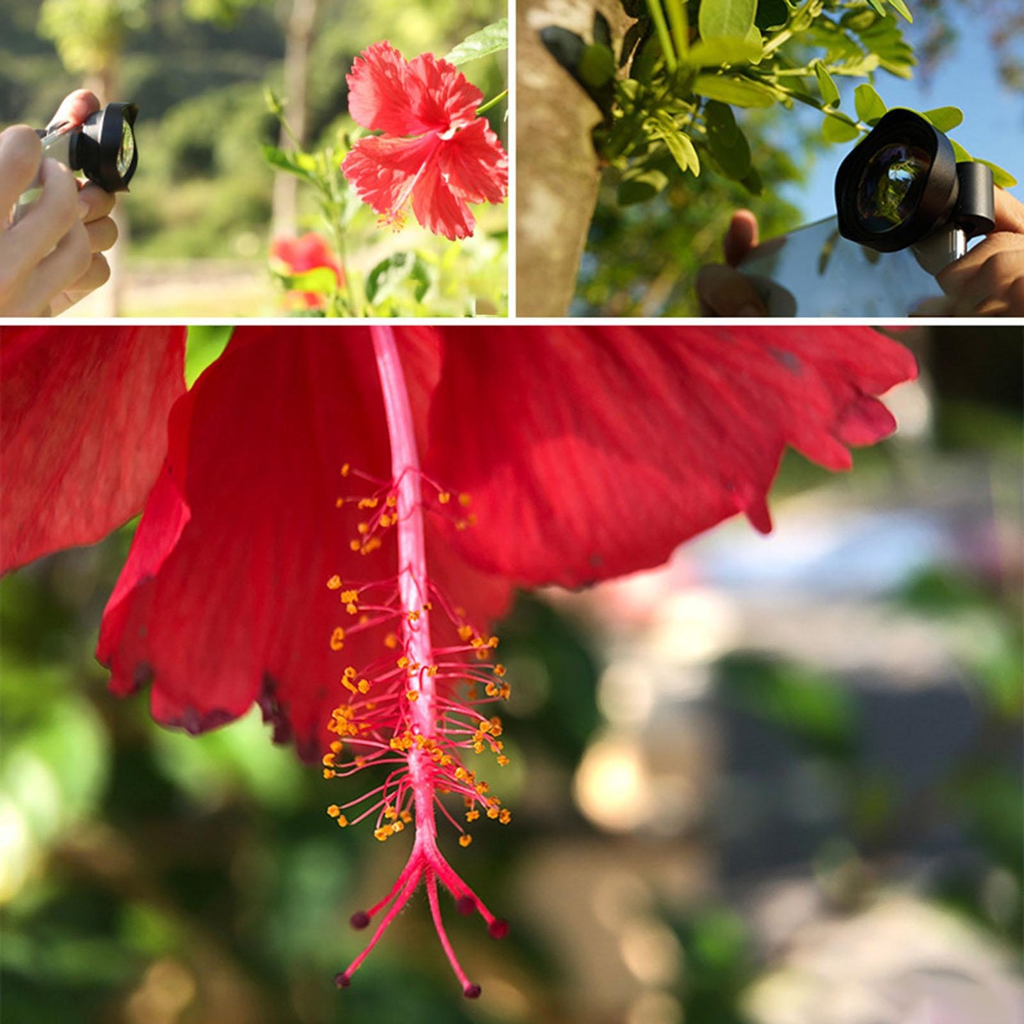 Lens 10x 75mm HD for Most Cellphones Photography Accessories