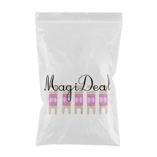 5Pcs Mini Small Car Truck Fuse Kit Auto Blade Fuse Plug In Fork Fuse 100A