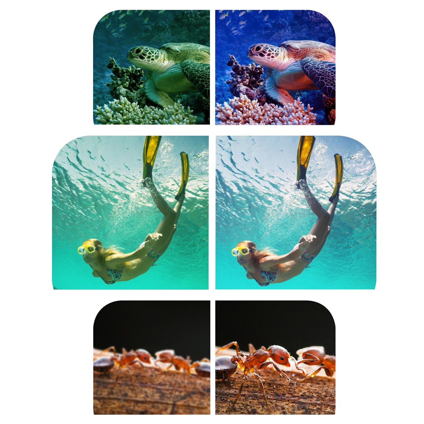 58mm Lens Filter Kit Set Purple Filter for Underwater Photo 5Pcs/Set Tool