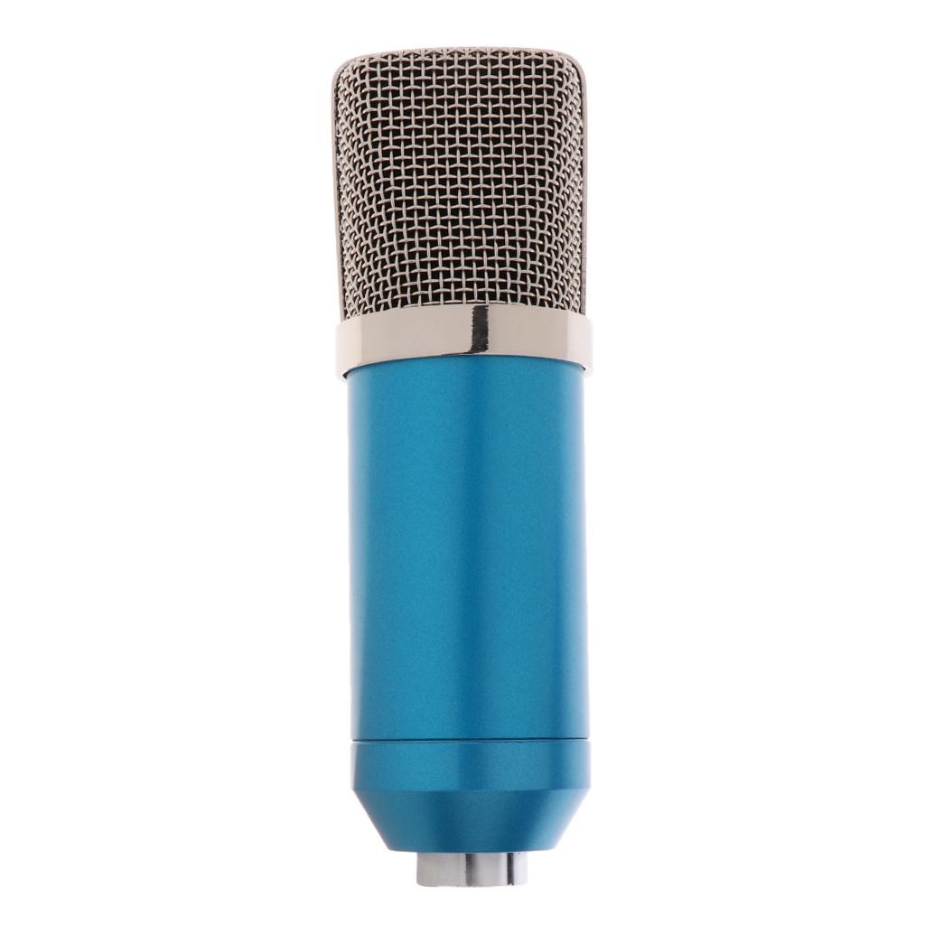 Home Studio Stand Condenser Microphone with Pop Filter