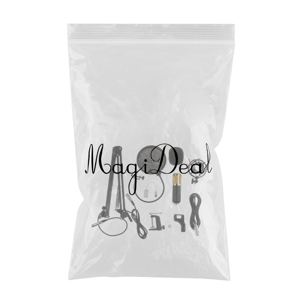 Condenser Microphone Sound Studio w/Shock Mount XLR Cable Mic Shield Cover